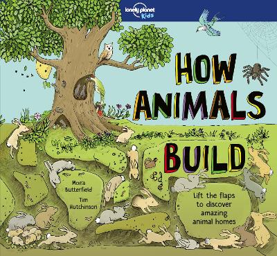 动物如何建造